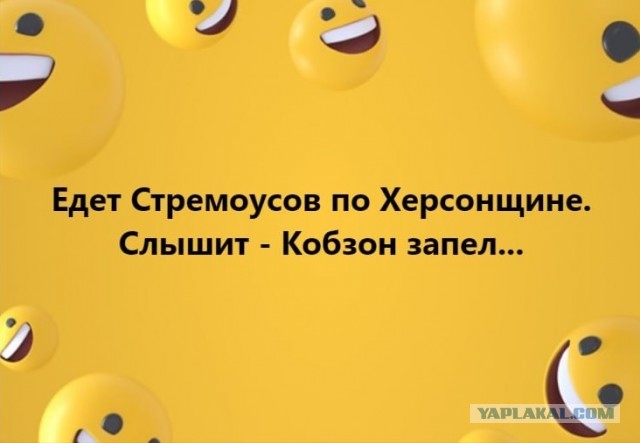 Замглавы администрации Херсонской области Кирилл Стремоусов погиб в ДТП