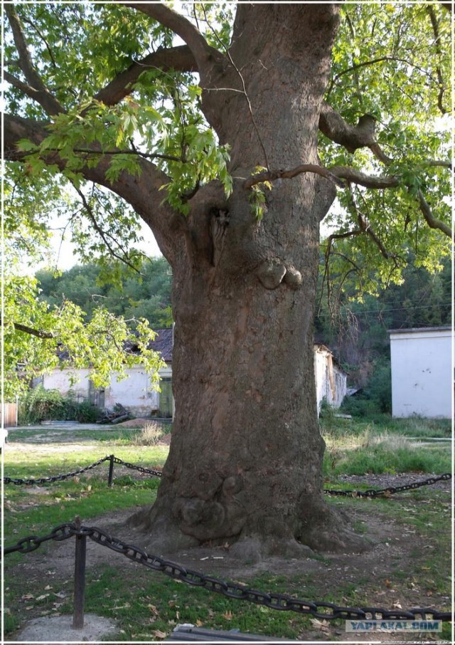 Крым. Новоульяновка. Водохранилище.