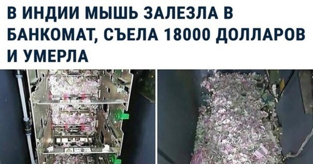 Вредители съели марихуану.