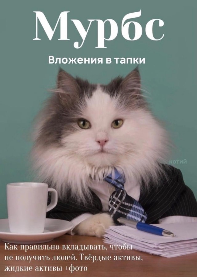 Журнал успешных котов