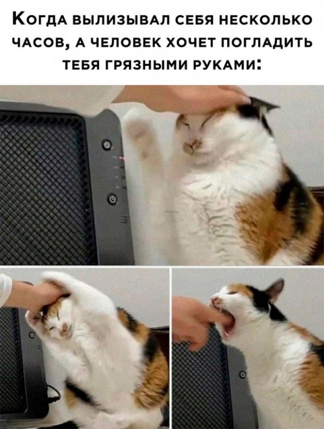 Картинки и мемы, всем хороших выходных