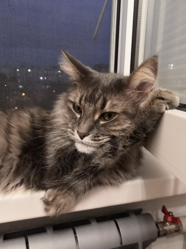 Коток.