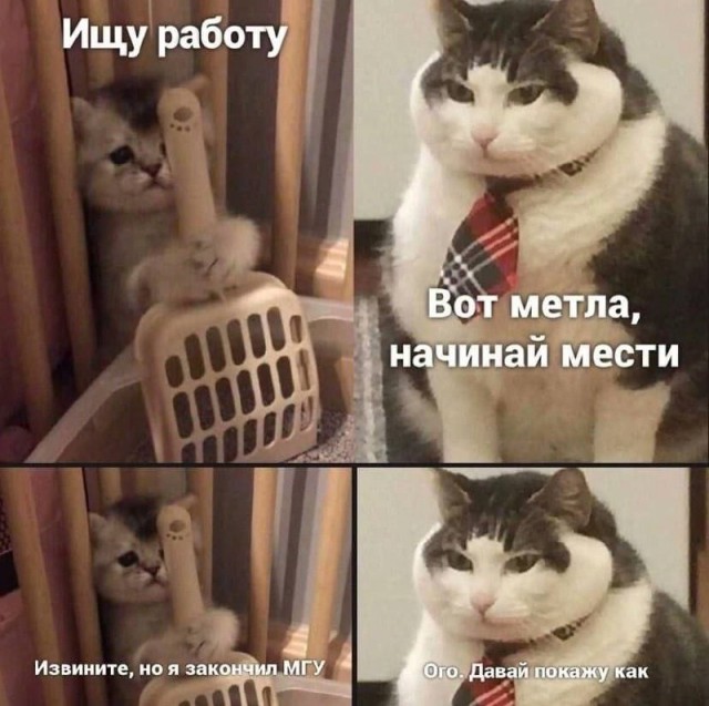Весёлый полтишок 08.09.23