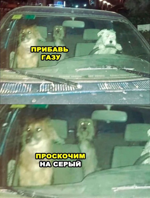 Нормально влип