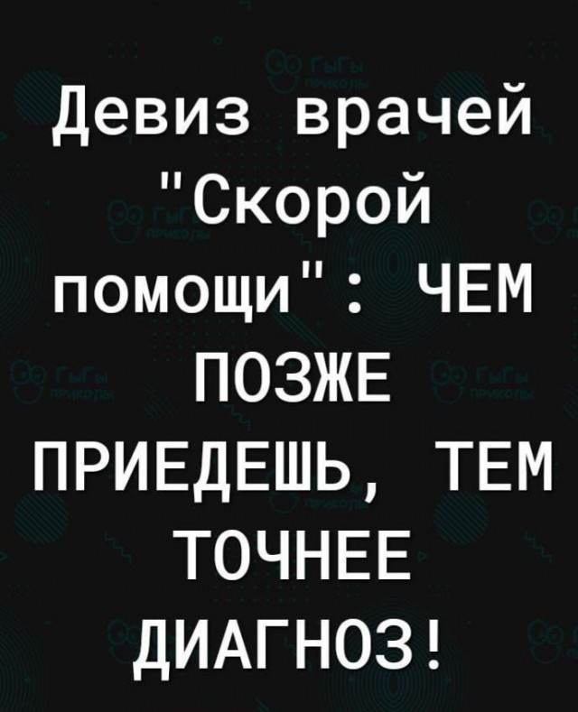 Забавные комментарии из социальных сетей 06.11.23