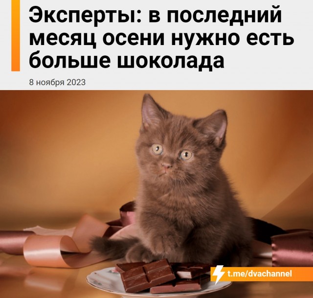 Химия и жизнь
