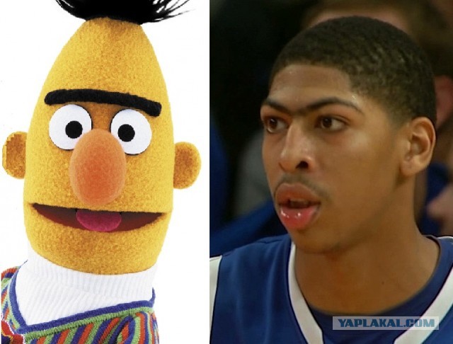 Монобровь максимального уровня