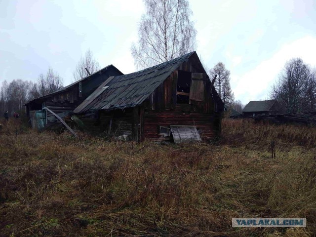 Деревня в Тверской области
