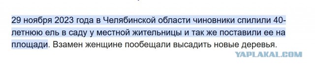 В Уфе чиновники спилили 30-летнюю ель местной жительницы и установили её на площади у дворца творчества