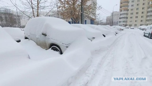 Нефритовый стержень наносит очередной Удар!