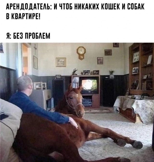 Маленькая пятница 19.03.25