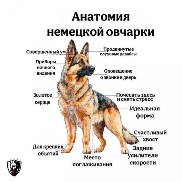 Верил в него больше, чем в себя