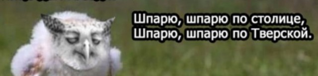 Продолжал терпеливо сохранять мемы