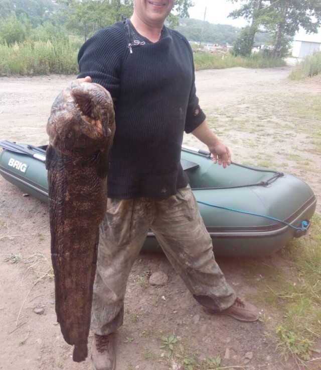 Фото моей природы
