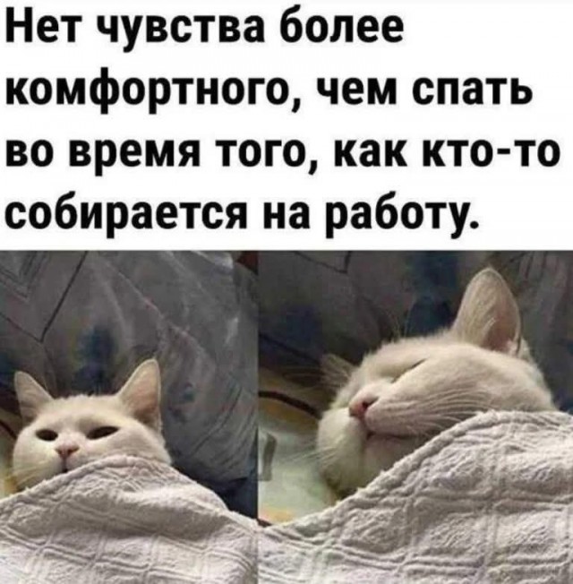 Прикольные и просто красивые картинки 08.08.2025