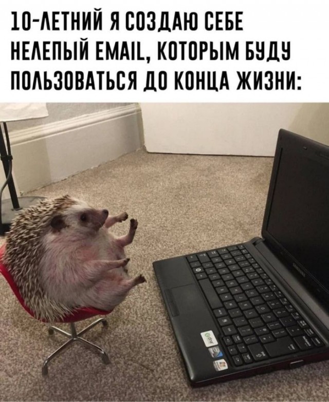 Картинки для деградации 59 (разной степени свежести)