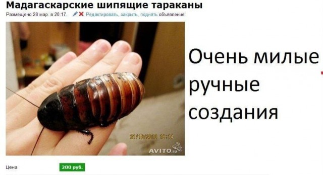 Понедельника картинки