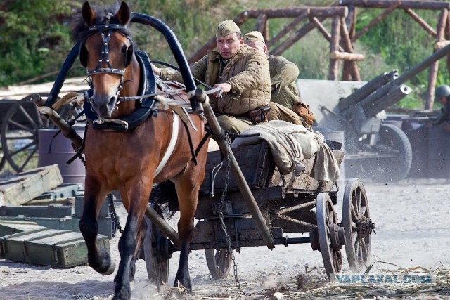 Сходили на Сталинград