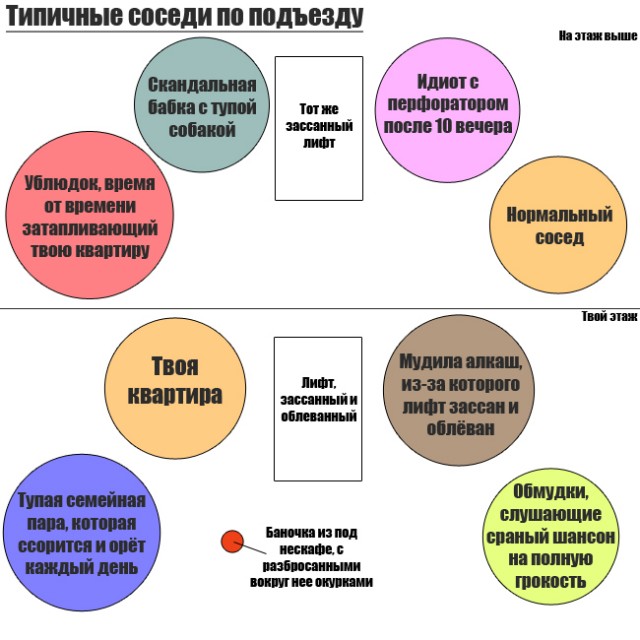 Какие у вас соседи?