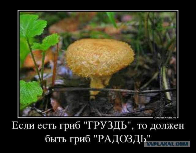 Чёрт, чёрт, чёрт!