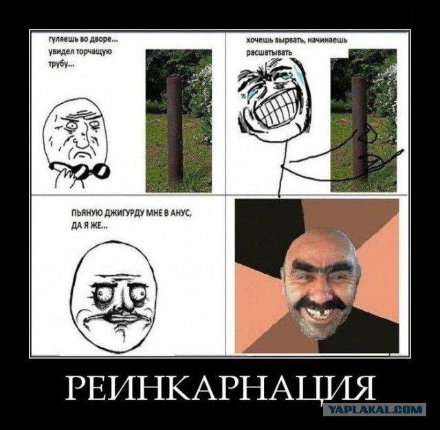 41 веселая картинка