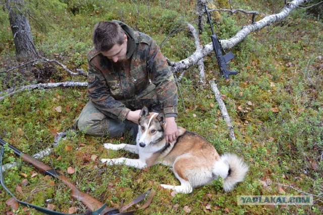 В дальнее замкадье и безасфальтье