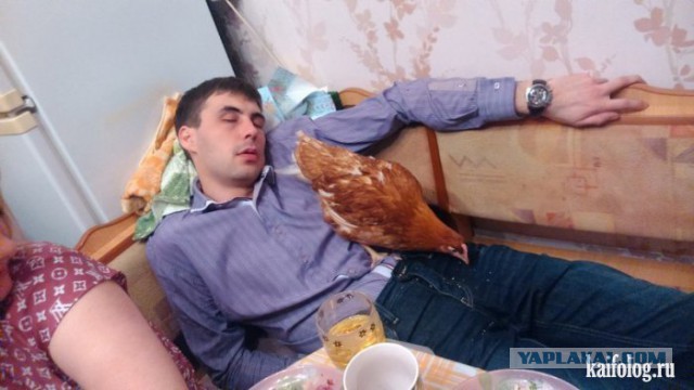 Ужасы и приколы из соцсетей 18+