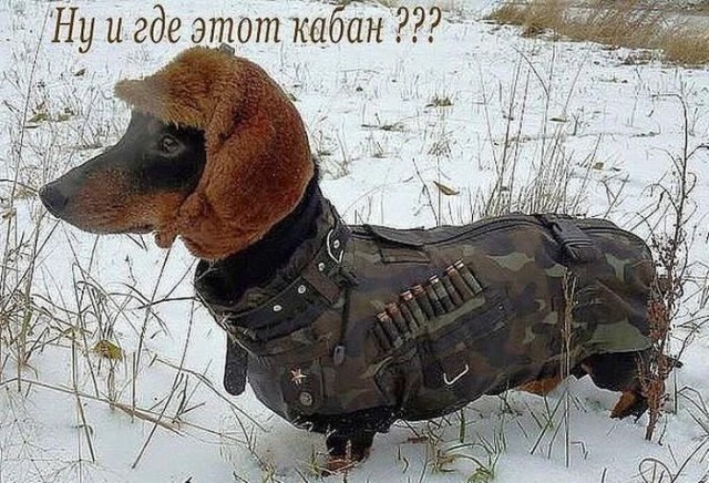 Под вечер, вторника.
