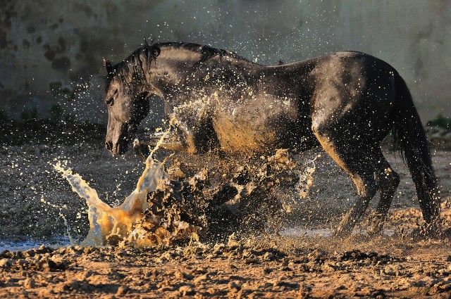 Подборка интересных и веселых картинок