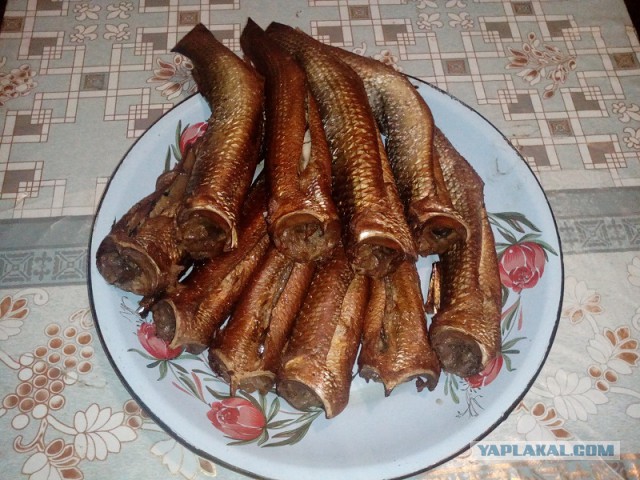 Копчение рыбы своими силами(горячее копчение)