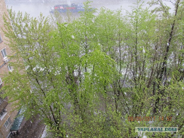 Мощнейший за полвека ливень обрушится на Москву во второй половине дня 8 мая