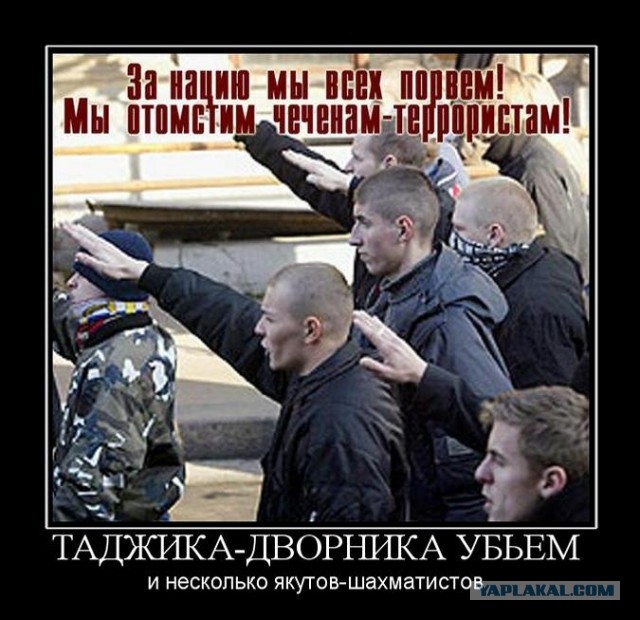 Тверские маршрутки