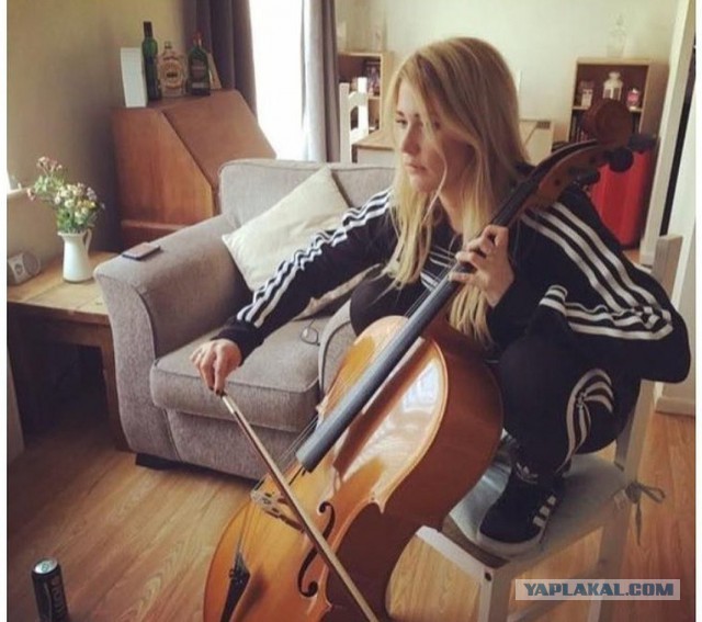 Запилю-ка я картинок