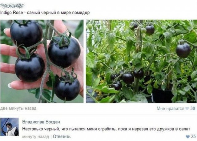 Порция картинок на субботу