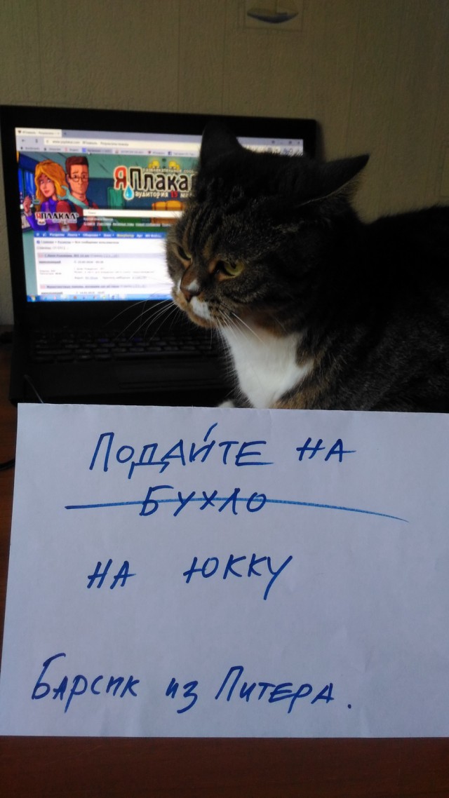 Не все котики любят обнимашки