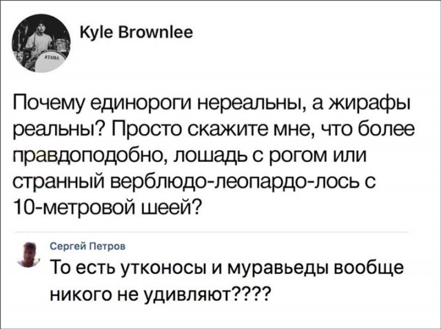 Прикольные комментарии и высказывания из Сети