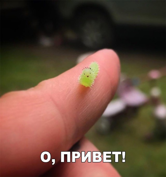 Нестандартный юмор