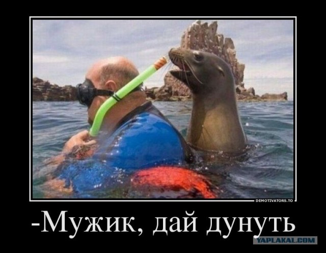 Совсем страх потеряли......