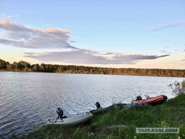 Весна, ждем рыбалки по открытой воде.