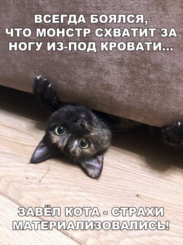 Нестандартный юмор