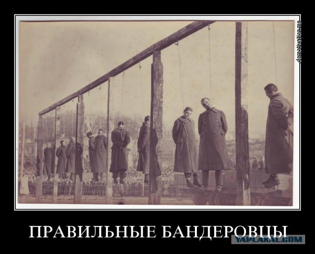 Украинец пытался метнуть гранату в празднующих 9 мая людей