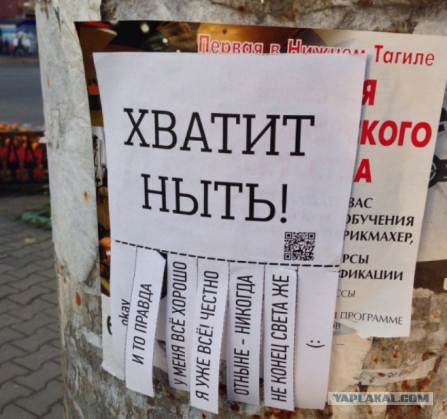 Дивный мир объявлений в подъездах