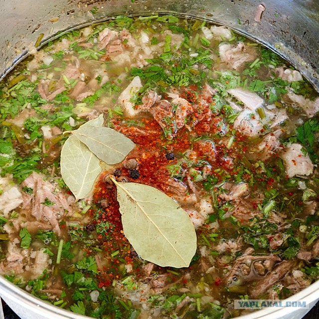 Июньское харчо!