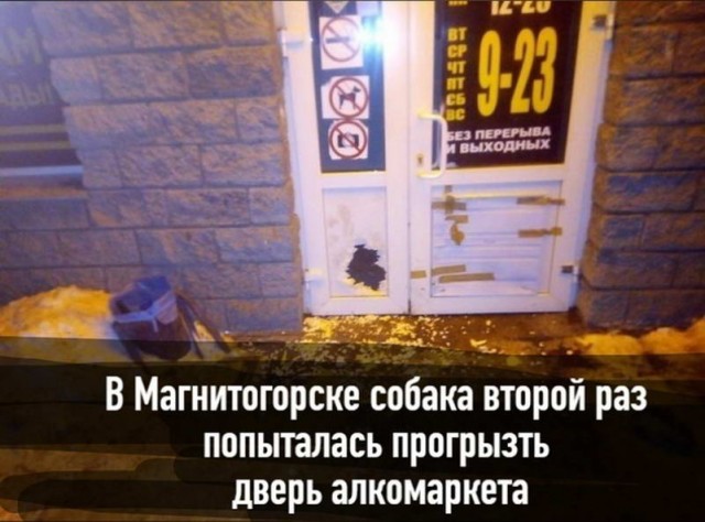 Пара-пара-пам! Фьють. Картинки с надписями. И без