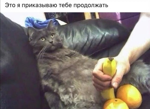 Немного картинок для настроения 26.03.20