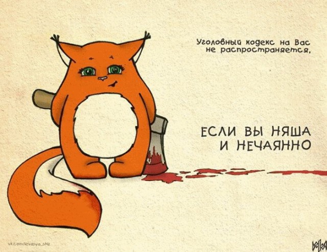 Немного картинок для настроения 31.07.20