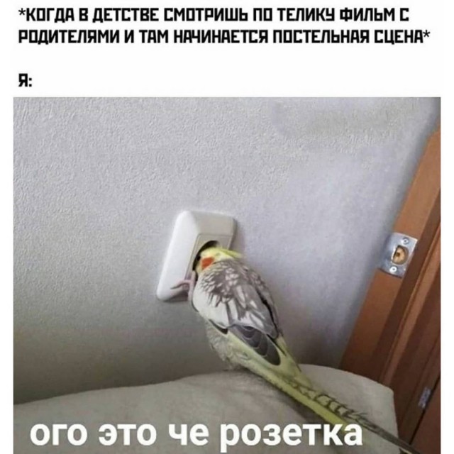 Просто добрые картинки. Всем хорошего дня!