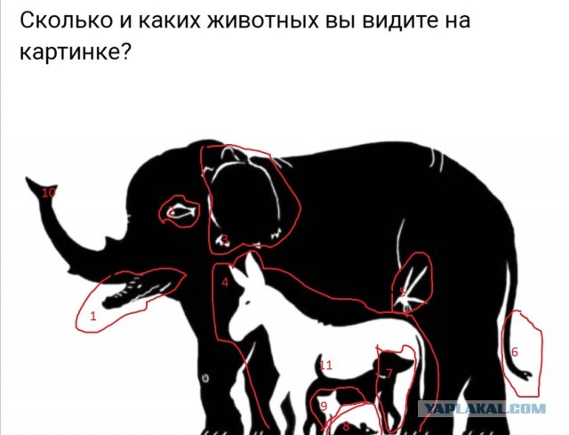Юмор в картинках 7.10.20
