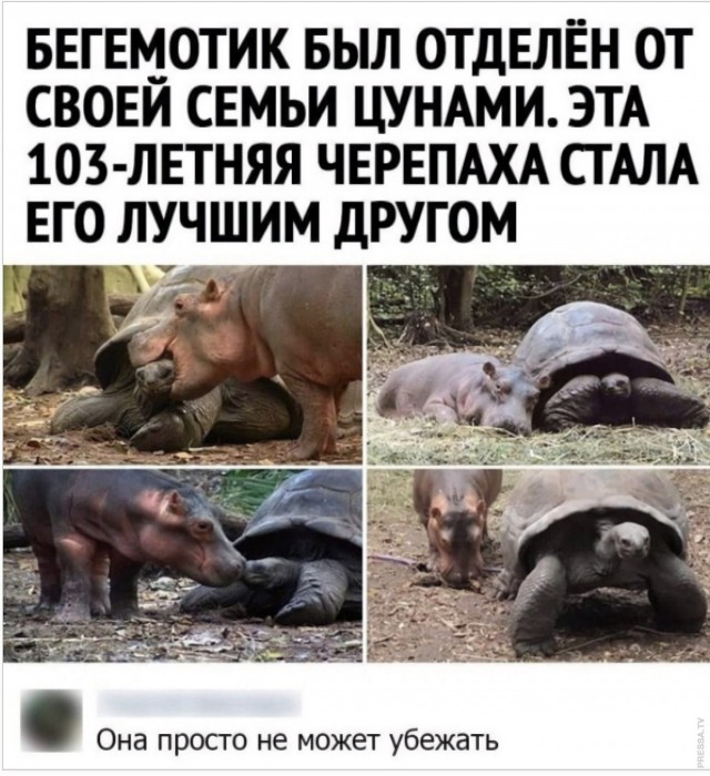 Картинки и мемы для настроения 009
