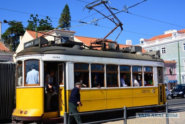 Суд Португалии вскрыл гигантские приписки в связи со смертностью от ковид: 152 человека, а не 17 000 заявленных властями